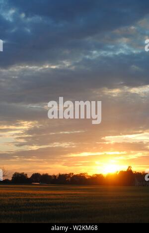 Sonnenuntergang über die Felder von Suffolk, Sommer orange-gelbe Sonne mit dunklen Wolken Stockfoto