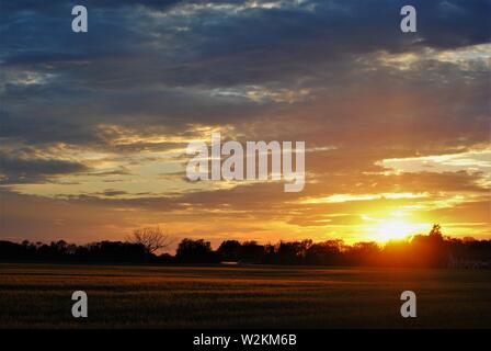 Sonnenuntergang über die Felder von Suffolk, Sommer orange-gelbe Sonne mit dunklen Wolken Stockfoto