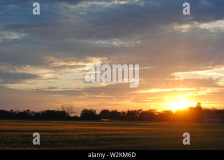 Sonnenuntergang über die Felder von Suffolk, Sommer orange-gelbe Sonne mit dunklen Wolken Stockfoto