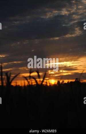 Sonnenuntergang über die Felder von Suffolk, Sommer orange-gelbe Sonne mit dunklen Wolken Stockfoto