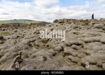 Die Besucher gehen durch Lava aus dem Laki Lava fließt in Woolly fringe Moos bedeckt (racomitrium lanuginosum), Skaftáreldahraun, Island. Stockfoto