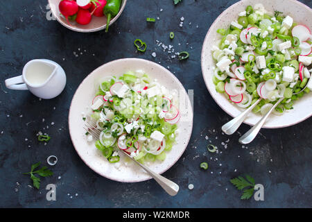 Gesunde Salate mit grünen Frühling Zwiebel und Käse serviert mit griechischer Joghurt. Ansicht von oben mit der Kopie. Stockfoto