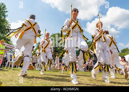 Der Graf von Stamford Morris eine Tanz an der 2019 Stockton Heide Festival durchführen unter heißer Sonne Stockfoto