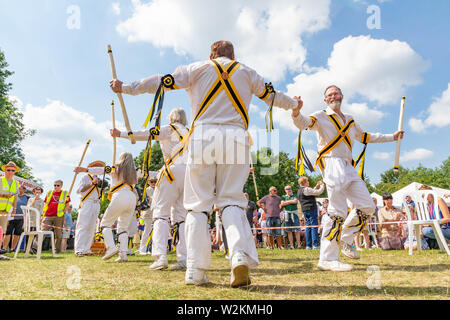 Der Graf von Stamford Morris eine Tanz an der 2019 Stockton Heide Festival durchführen unter heißer Sonne Stockfoto