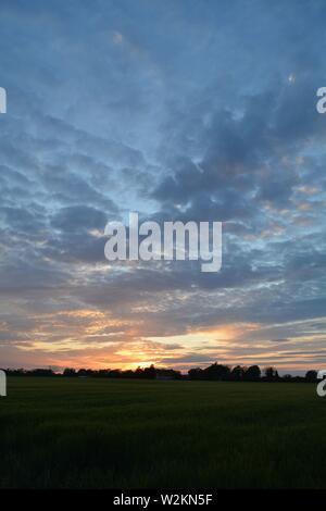 Eine Sammlung von Aufnahmen des Sonnenuntergangs über den flachen Suffolk-Feldern mit einem schönen Wolkenmuster, das sich über den Himmel ausbreitet. Stockfoto