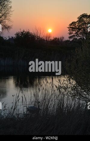 Bilderserie eines Sonnenuntergangs über einem englischen Fluss mit Silhouettenplänen und Bäumen im Herbst. Stockfoto