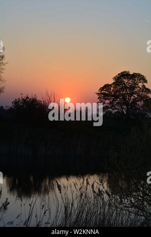 Bilderserie eines Sonnenuntergangs über einem englischen Fluss mit Silhouettenplänen und Bäumen im Herbst. Stockfoto