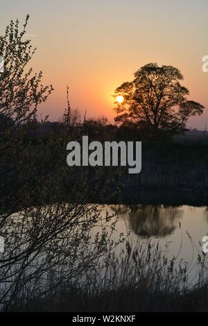 Bilderserie eines Sonnenuntergangs über einem englischen Fluss mit Silhouettenplänen und Bäumen im Herbst. Stockfoto