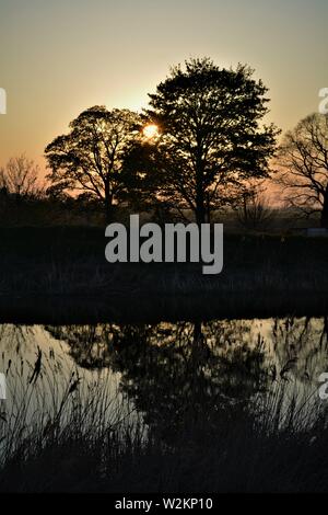 Bilderserie eines Sonnenuntergangs über einem englischen Fluss mit Silhouettenplänen und Bäumen im Herbst. Stockfoto