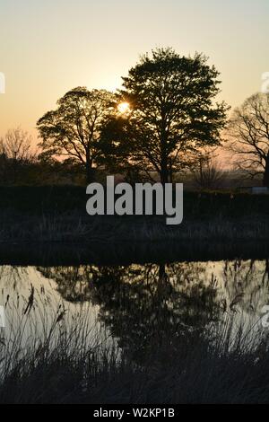 Bilderserie eines Sonnenuntergangs über einem englischen Fluss mit Silhouettenplänen und Bäumen im Herbst. Stockfoto