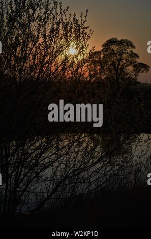 Bilderserie eines Sonnenuntergangs über einem englischen Fluss mit Silhouettenplänen und Bäumen im Herbst. Stockfoto