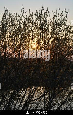 Bilderserie eines Sonnenuntergangs über einem englischen Fluss mit Silhouettenplänen und Bäumen im Herbst. Stockfoto