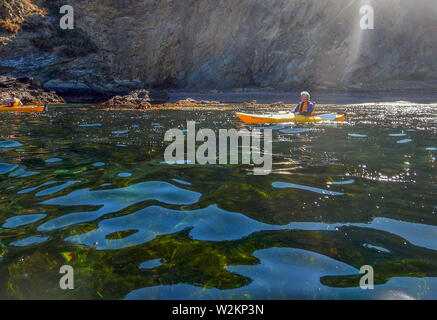 Kajak über Algen Betten in abgelegenen Bucht in NSW, Australien Stockfoto
