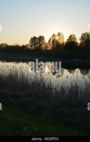 Bilderserie eines Sonnenuntergangs über einem englischen Fluss mit Silhouettenplänen und Bäumen im Herbst. Stockfoto