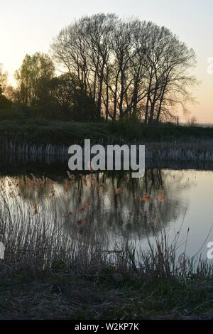 Bilderserie eines Sonnenuntergangs über einem englischen Fluss mit Silhouettenplänen und Bäumen im Herbst. Stockfoto