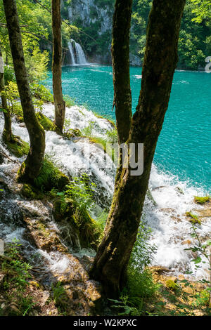 Rauschende Wasserfälle, die natürliche Hindernisse in den glasklaren und azurblauen See Milanovac im Nationalpark Plitvicer Seen, Kroatien
