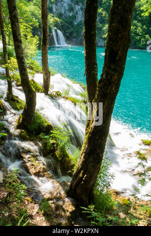 Rauschende Wasserfälle, die natürliche Hindernisse in den glasklaren und azurblauen See Milanovac im Nationalpark Plitvicer Seen, Kroatien Stockfoto