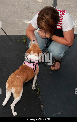 Streichelzoo der Hund Stockfoto