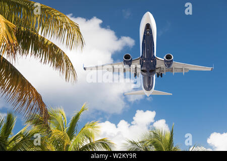 Ansicht von unten auf das Passagierflugzeug Fliegen über tropischen Palmen. Stockfoto
