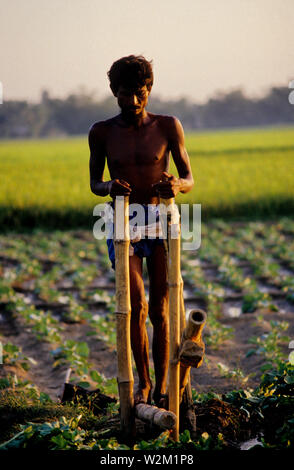 Die tritt Pumpe hat Popularität in ländlichen Landwirtschaft gewonnen. Es können Landwirte weg von Teichen und Flüssen zu pflanzen, und ist eine umweltfreundliche Form der Bewässerung. Ishurdi. Bangladesch. Stockfoto