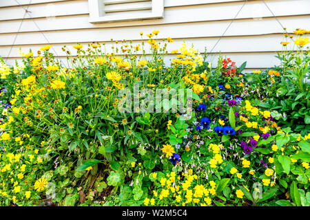 Viele gelb orange Blumen im Beet Dekorationen auf Straße in der Stadt, die durch hölzerne Hauswand mit Muster in leuchtenden Farben. Stockfoto