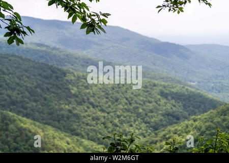 Festlegung der Shenandoah Blue Ridge Appalachian mountains Auf dem Skyline Drive blicken mit closeup Vordergrund der Baum Blätter Niederlassungen Stockfoto