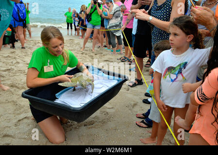 Melbourne Beach, Florida, USA. Juli 9, 2019. Nach einem Aufenthalt an der Brevard Zoo Sea Turtle Healing Center, juvenile Grüne Meeresschildkröte Kona wurde in den Atlantischen Ozean durch eine Partnerschaft mit dem Barrier Island Center zurück. Mit der Zulassung zu den Healing Center am 7. April, Kona erschienen lethargisch, in Bewuchs bedeckt war und hatte Mühe, die unter Wasser. Dieses Meer Schildkröte war mit Medikamenten, Flüssigkeiten und nahrhafte Lebensmittel durch Zoo Mitarbeiter und Freiwilligen behandelt. Kredit Julian Porree/Alamy leben Nachrichten Stockfoto