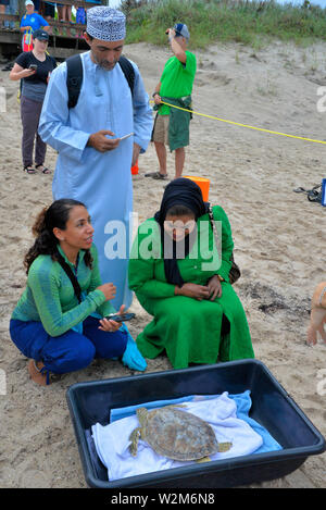 Melbourne Beach, Florida, USA. Juli 9, 2019. Nach einem Aufenthalt an der Brevard Zoo Sea Turtle Healing Center, juvenile Grüne Meeresschildkröte Kona wurde in den Atlantischen Ozean durch eine Partnerschaft mit dem Barrier Island Center zurück. Mit der Zulassung zu den Healing Center am 7. April, Kona erschienen lethargisch, in Bewuchs bedeckt war und hatte Mühe, die unter Wasser. Dieses Meer Schildkröte war mit Medikamenten, Flüssigkeiten und nahrhafte Lebensmittel durch Zoo Mitarbeiter und Freiwilligen behandelt. Kredit Julian Porree/Alamy leben Nachrichten Stockfoto