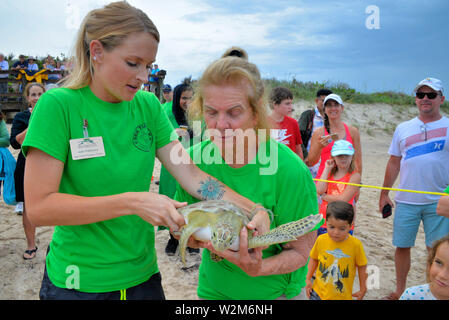 Melbourne Beach, Florida, USA. Juli 9, 2019. Nach einem Aufenthalt an der Brevard Zoo Sea Turtle Healing Center, juvenile Grüne Meeresschildkröte Kona wurde in den Atlantischen Ozean durch eine Partnerschaft mit dem Barrier Island Center zurück. Mit der Zulassung zu den Healing Center am 7. April, Kona erschienen lethargisch, in Bewuchs bedeckt war und hatte Mühe, die unter Wasser. Dieses Meer Schildkröte war mit Medikamenten, Flüssigkeiten und nahrhafte Lebensmittel durch Zoo Mitarbeiter und Freiwilligen behandelt. Kredit Julian Porree/Alamy leben Nachrichten Stockfoto