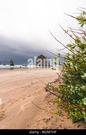 Cannon Beach ist eine Stadt im Clatsop County, Kansas, United States, dramatische Wetter vor einem regen Sturm, Tourismus, Reisen, USA, Sand, Landschaft, Stadtlandschaft Stockfoto