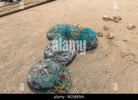 Tote Fische in Fischernetzen. Stockfoto