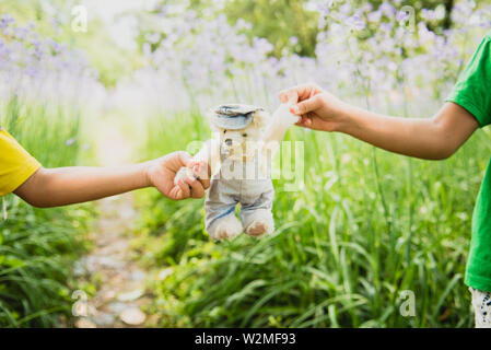 Vibrant outdoor Foto der Teddybär auf dem Hof an der Park mit dem weißen Blume und grüne Gräser Stockfoto