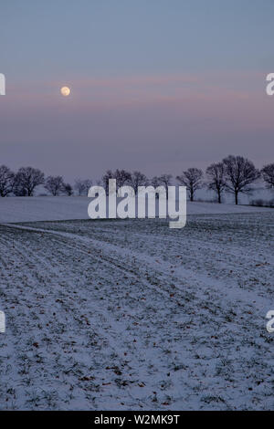 Mond über verschneite Feld und Zeile des kahlen Bäume auf einem stimmungsvollen Abend, Schleswig-Holstein, Deutschland Stockfoto