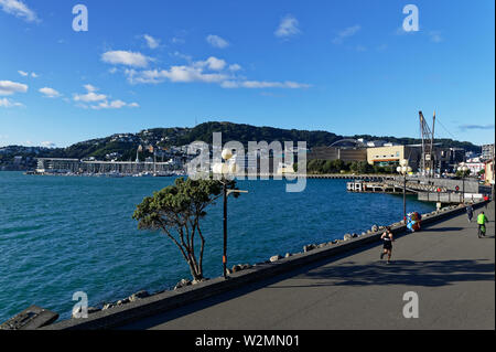 Oriental Bay von der Waterfront Wellington, Neuseeland Stockfoto