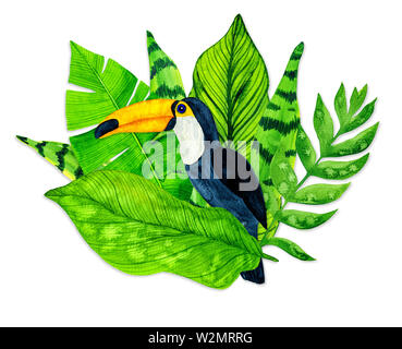 Aquarell tropische Blätter und auf weißen backgroundWatercolor tropische Blätter Toucan Toucan und auf weißem Hintergrund Stockfoto