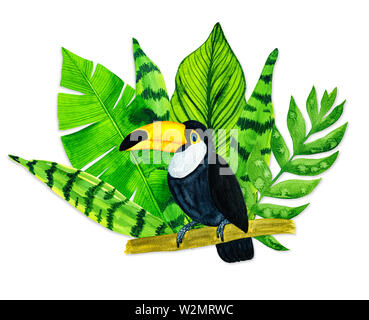 Aquarell tropische Blätter und auf weißem Hintergrund toucan Stockfoto