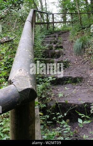 Consall Holz Stockfoto