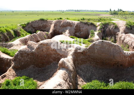 Das Schloss Stiftungen auf buranaturm Website. Tokmok. Chuy Tal. Kirgisistan Stockfoto