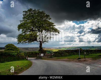 Remote Straße auf Exmoor zu Tarr Schritte alten momument, Somerset und Devon, Großbritannien Stockfoto