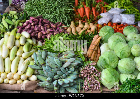 Pflanzliche abgewürgt. Asien Stockfoto