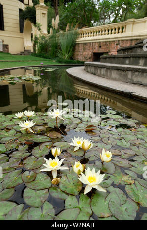 Der Garten der Träume Kathmandu Nepal Asien Stockfoto