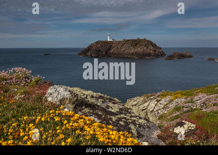 Leuchtturm von Round Island - Blick von einer anderen Insel mit blühenden Blumen Stockfoto