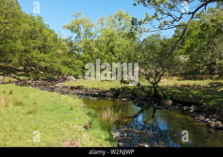 Spazieren Sie im Sommer entlang Watendlath Beck Lake District National Park Cumbria England Vereinigtes Königreich GB Großbritannien Stockfoto