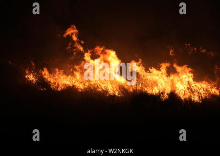 Auf dem Foto die Feuer, die Montelepre Bereich während der Nacht durch ein riesiges Feuer, das die Bewohner der Gegend besorgt betroffen, die hohen Temperaturen in der Nacht zwischen 32 Grad und eine starke sirocco haben angeregt, die brandstifter zu streiken. (Alberto Lo Bianco/Fotogramma, Montelepre (PA) - 2019-07-10) p.s. La foto e 'utilizzabile nel rispetto del contesto in Cui e' Stata scattata, e senza intento diffamatorio del decoro delle Persone rappresentate Stockfoto