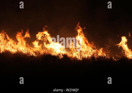 Auf dem Foto die Feuer, die Montelepre Bereich während der Nacht durch ein riesiges Feuer, das die Bewohner der Gegend besorgt betroffen, die hohen Temperaturen in der Nacht zwischen 32 Grad und eine starke sirocco haben angeregt, die brandstifter zu streiken. (Alberto Lo Bianco/Fotogramma, Montelepre (PA) - 2019-07-10) p.s. La foto e 'utilizzabile nel rispetto del contesto in Cui e' Stata scattata, e senza intento diffamatorio del decoro delle Persone rappresentate Stockfoto