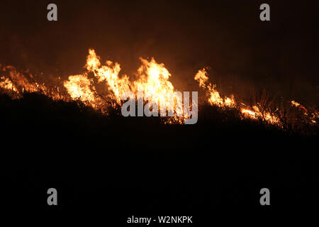 Auf dem Foto die Feuer, die Montelepre Bereich während der Nacht durch ein riesiges Feuer, das die Bewohner der Gegend besorgt betroffen, die hohen Temperaturen in der Nacht zwischen 32 Grad und eine starke sirocco haben angeregt, die brandstifter zu streiken. (Alberto Lo Bianco/Fotogramma, Montelepre (PA) - 2019-07-10) p.s. La foto e 'utilizzabile nel rispetto del contesto in Cui e' Stata scattata, e senza intento diffamatorio del decoro delle Persone rappresentate Stockfoto