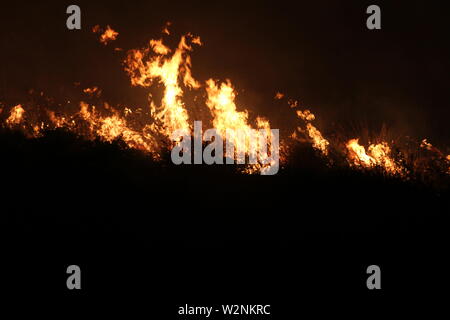 Auf dem Foto die Feuer, die Montelepre Bereich während der Nacht durch ein riesiges Feuer, das die Bewohner der Gegend besorgt betroffen, die hohen Temperaturen in der Nacht zwischen 32 Grad und eine starke sirocco haben angeregt, die brandstifter zu streiken. (Alberto Lo Bianco/Fotogramma, Montelepre (PA) - 2019-07-10) p.s. La foto e 'utilizzabile nel rispetto del contesto in Cui e' Stata scattata, e senza intento diffamatorio del decoro delle Persone rappresentate Stockfoto