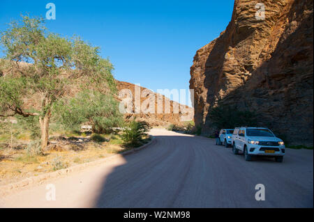 Oase in der Wüste, Brandberg Berg, Damaraland, Namibia Stockfoto