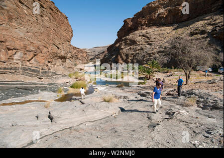 Oase in der Wüste, Brandberg Berg, Damaraland, Namibia Stockfoto