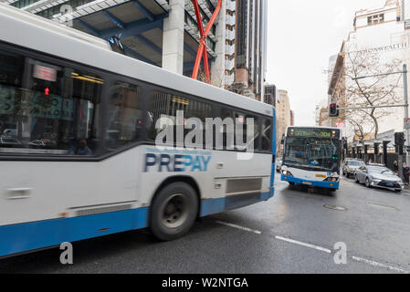 Zwei Regierung Busse kreuz Jäger Straße auf der Elizabeth Street an einem Wintermorgen Peak Hour in Sydney, Australien Stockfoto